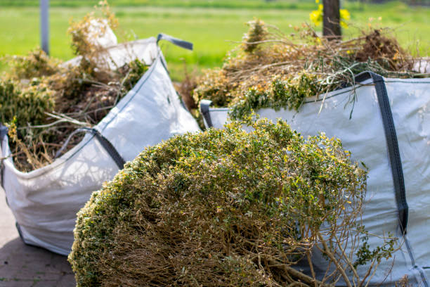 Best Basement Cleanout Services  in Trabuco Nyon, CA
